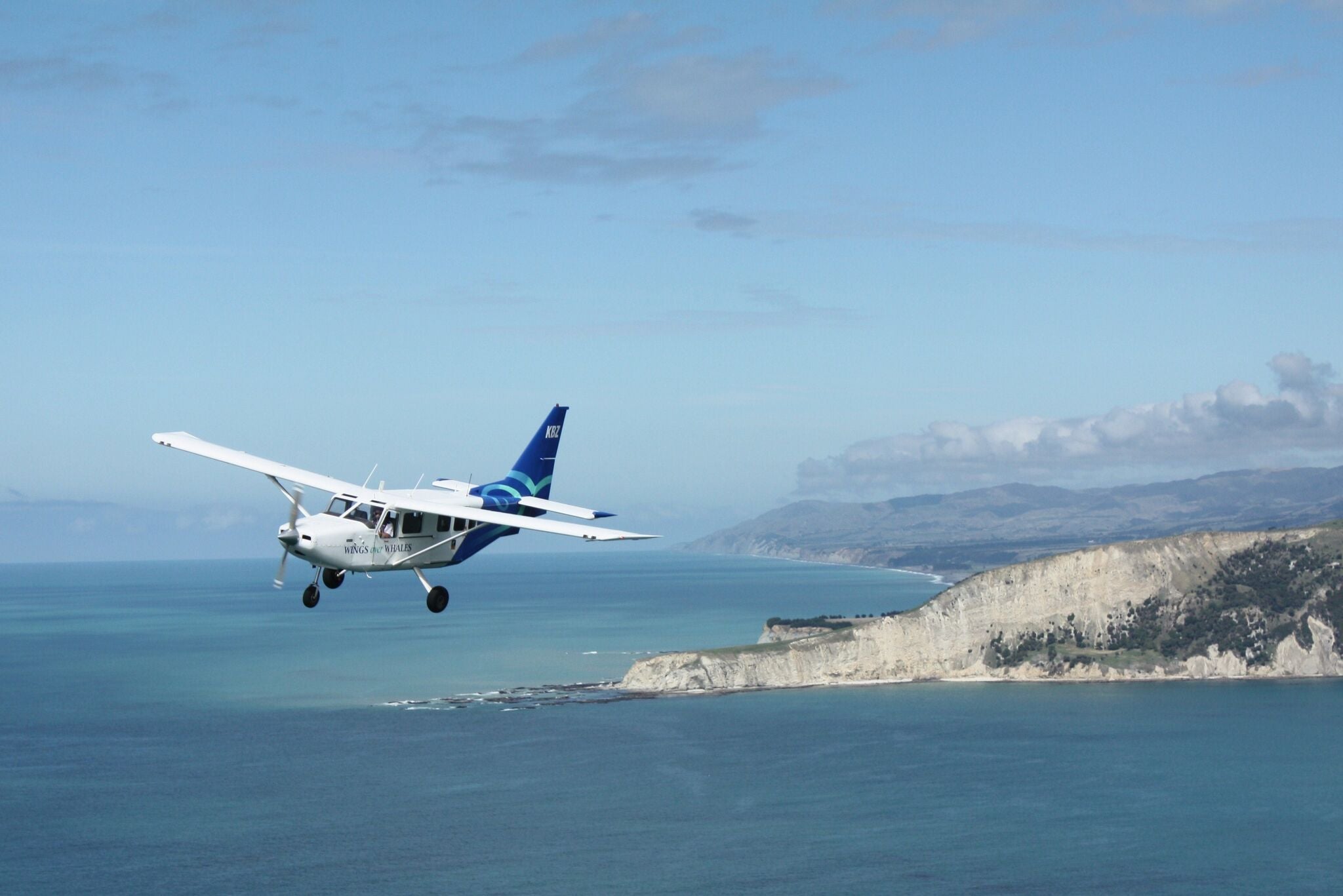 Wings Over Whales Kaikoura