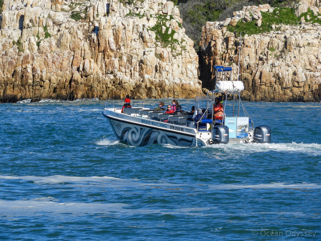 At the Knysna Heads