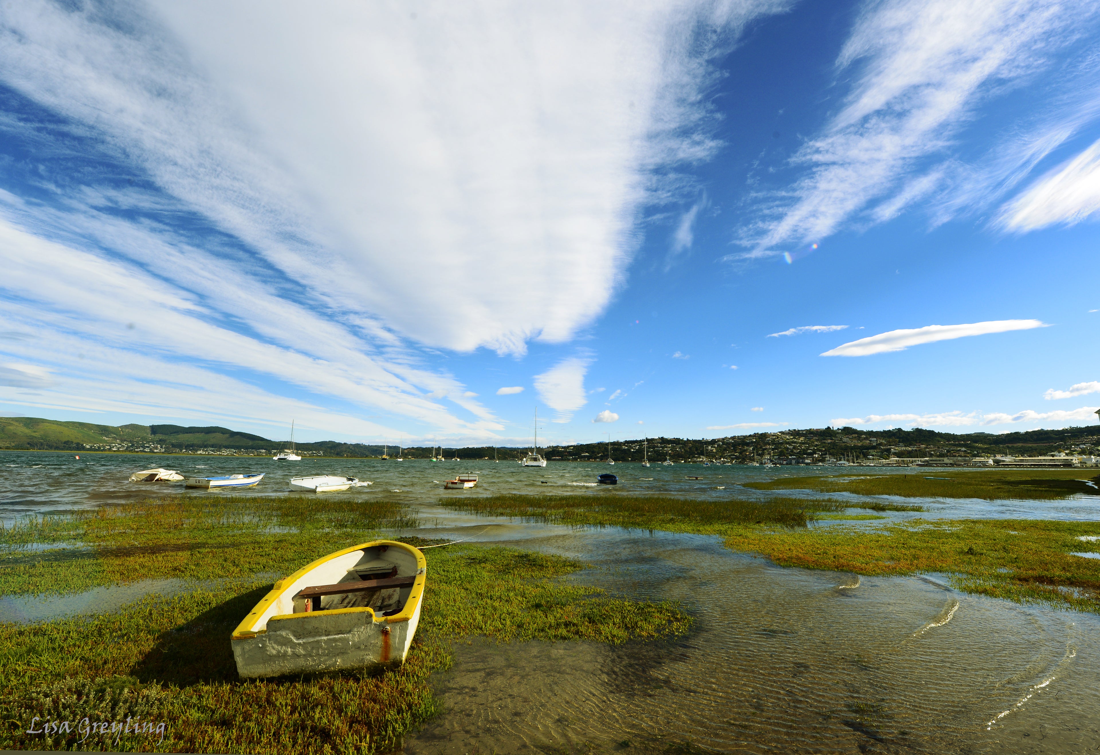 Expect breathtaking views of the Knysna estuary