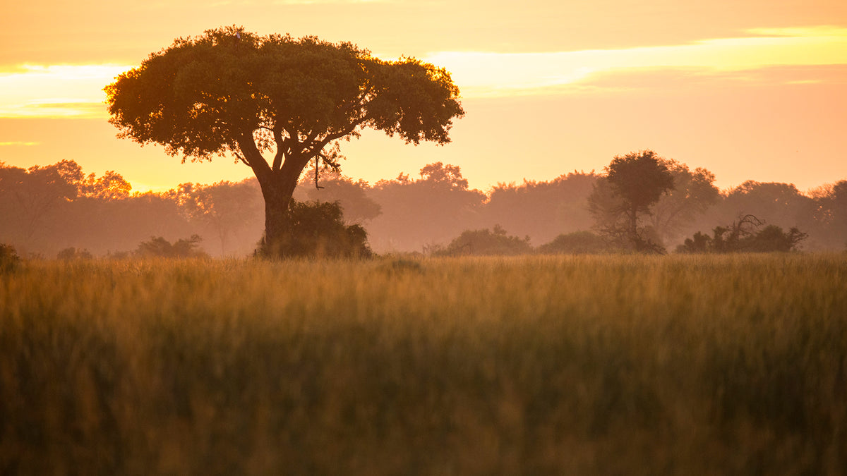 Makgadikgadi Pans National Park