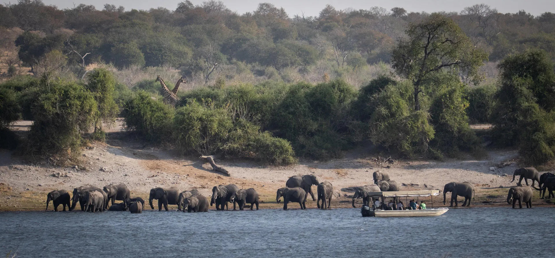 Serondela Boat Cruise at Serondela Lodge, Chobe River Front Namibia, Namibia.