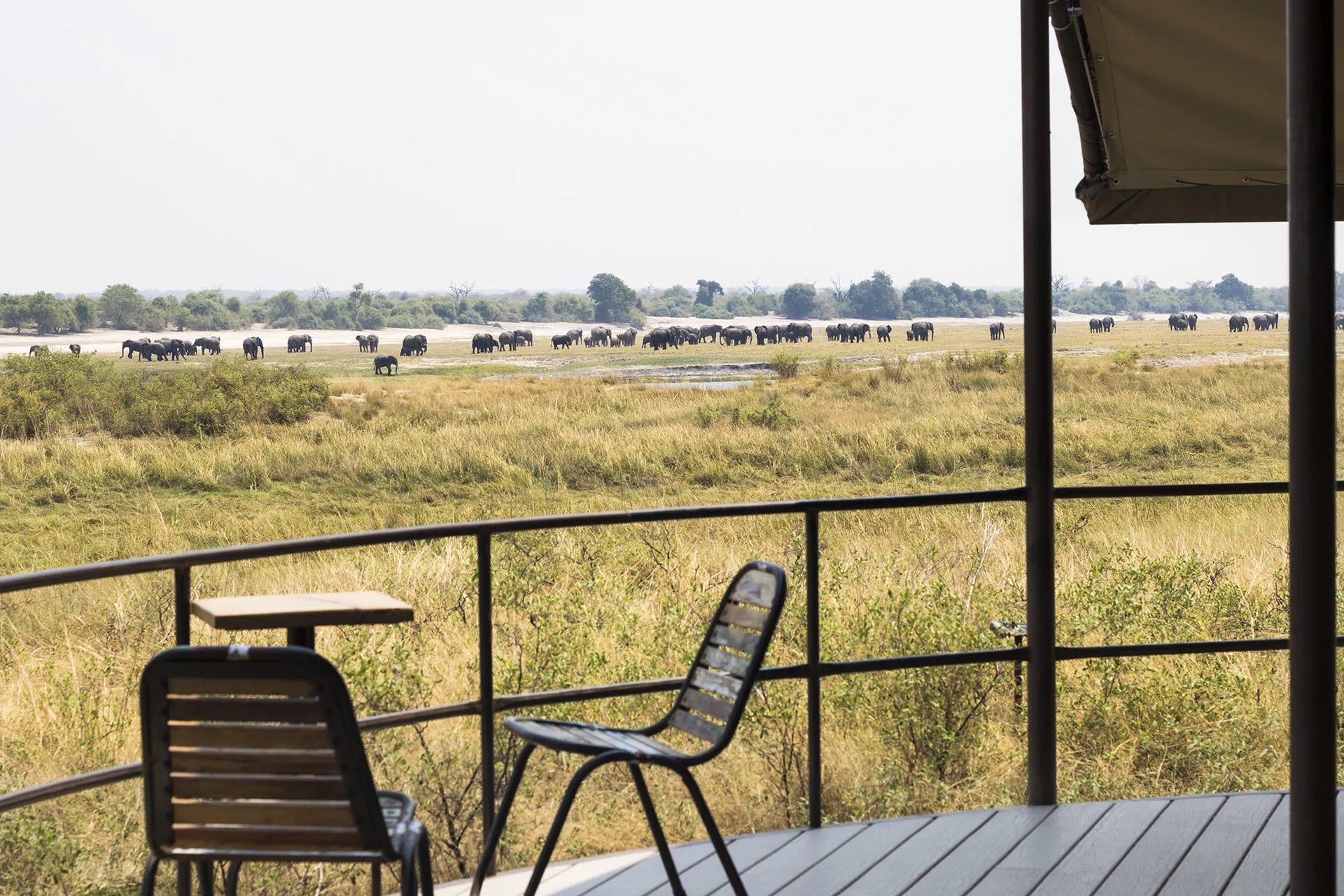 View from the Lodge at Serondela Lodge, Chobe River Front Namibia, Namibia.