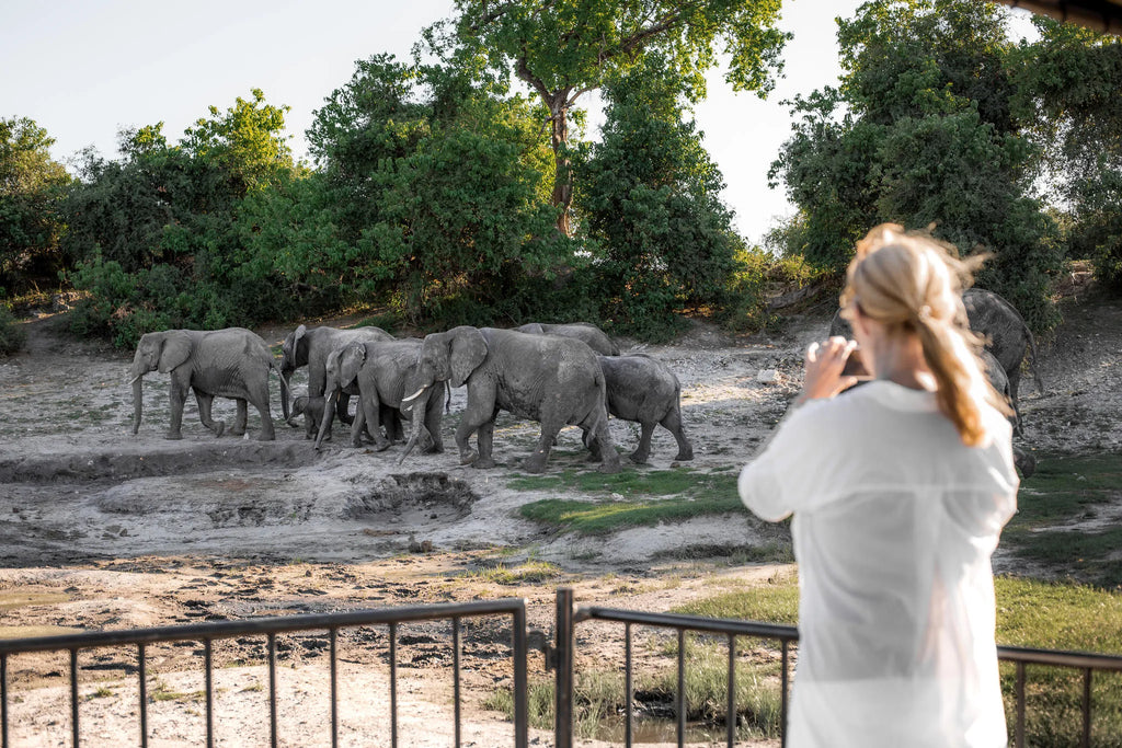 . at Serondela Lodge, Chobe River Front Namibia, Namibia.