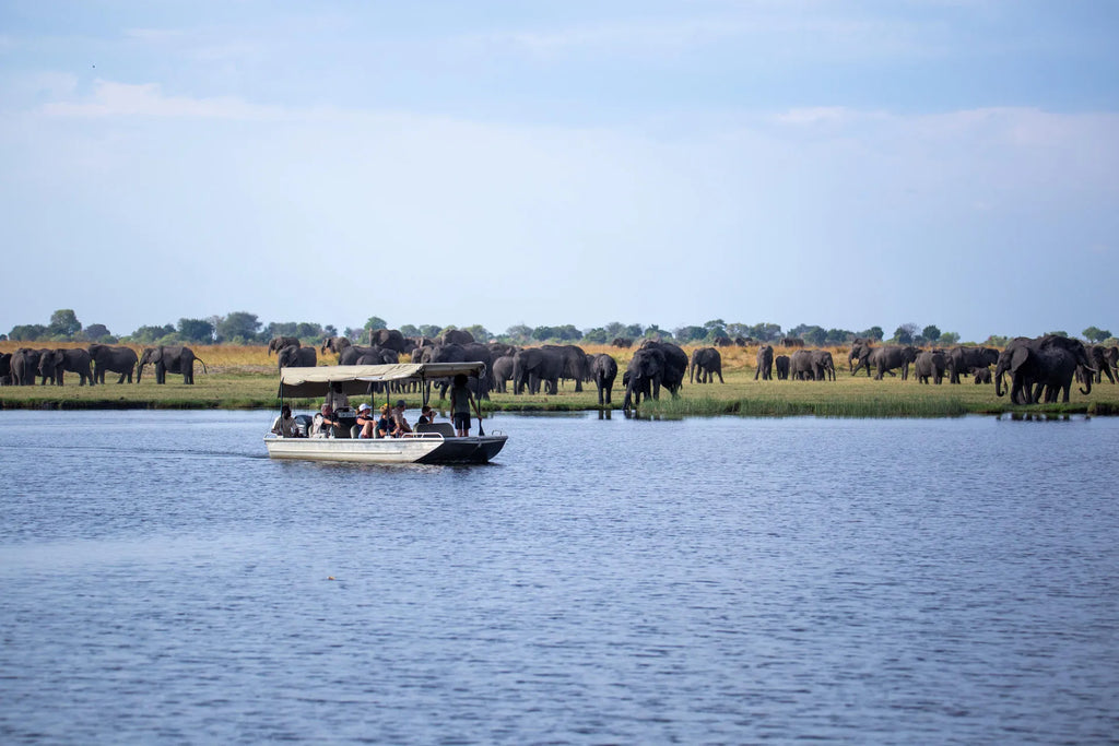 Boat cruise along the Chobe River at Serondela Lodge, Chobe River Front Namibia, Namibia.