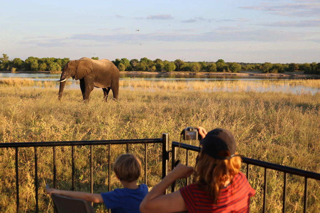 Boat Cruise at Serondela Lodge, Chobe River Front Namibia, Namibia.