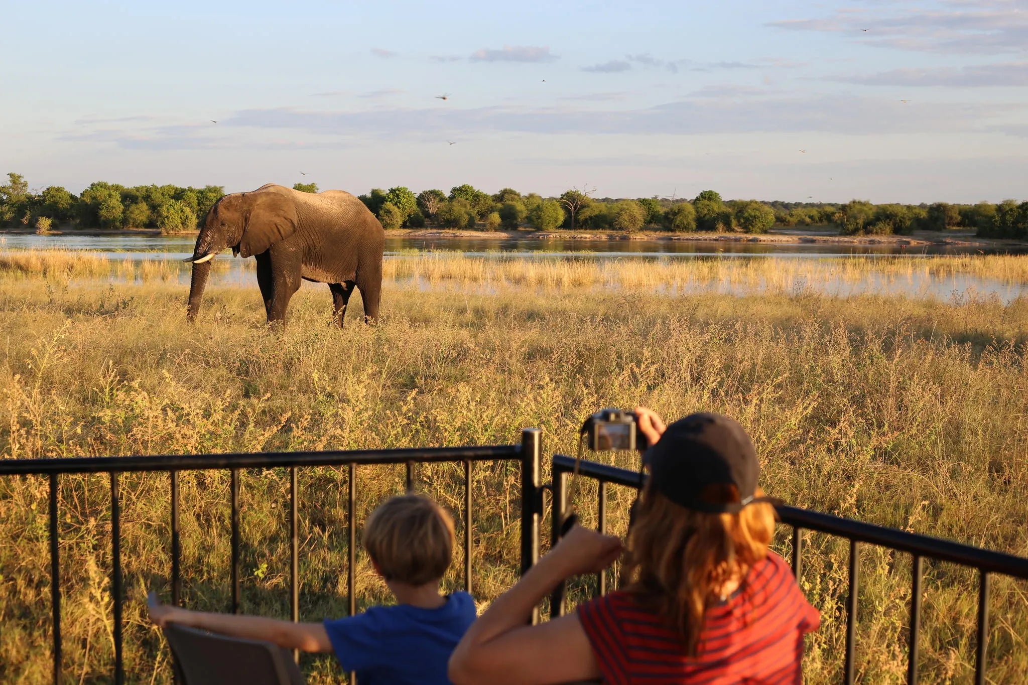 Boat Cruise at Serondela Lodge, Chobe River Front Namibia, Namibia.