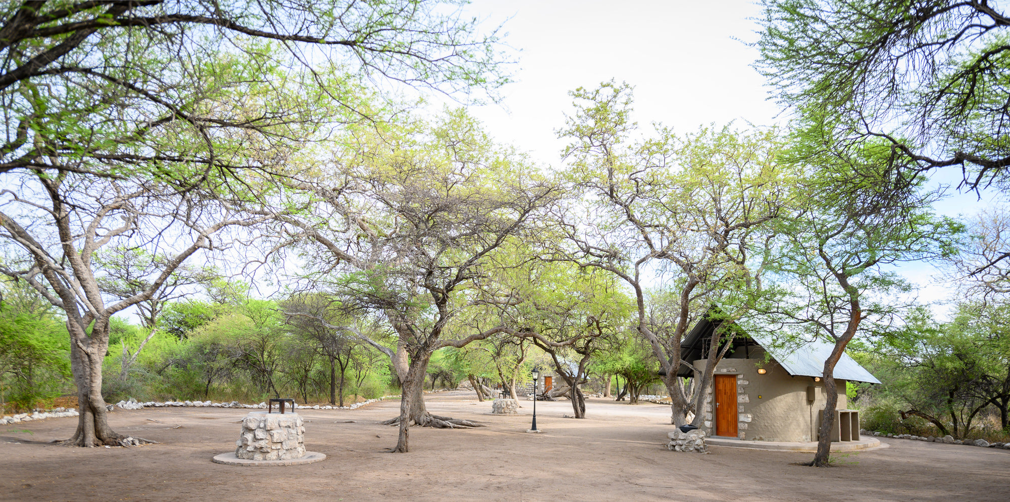 Onguma Leadwood Campsite