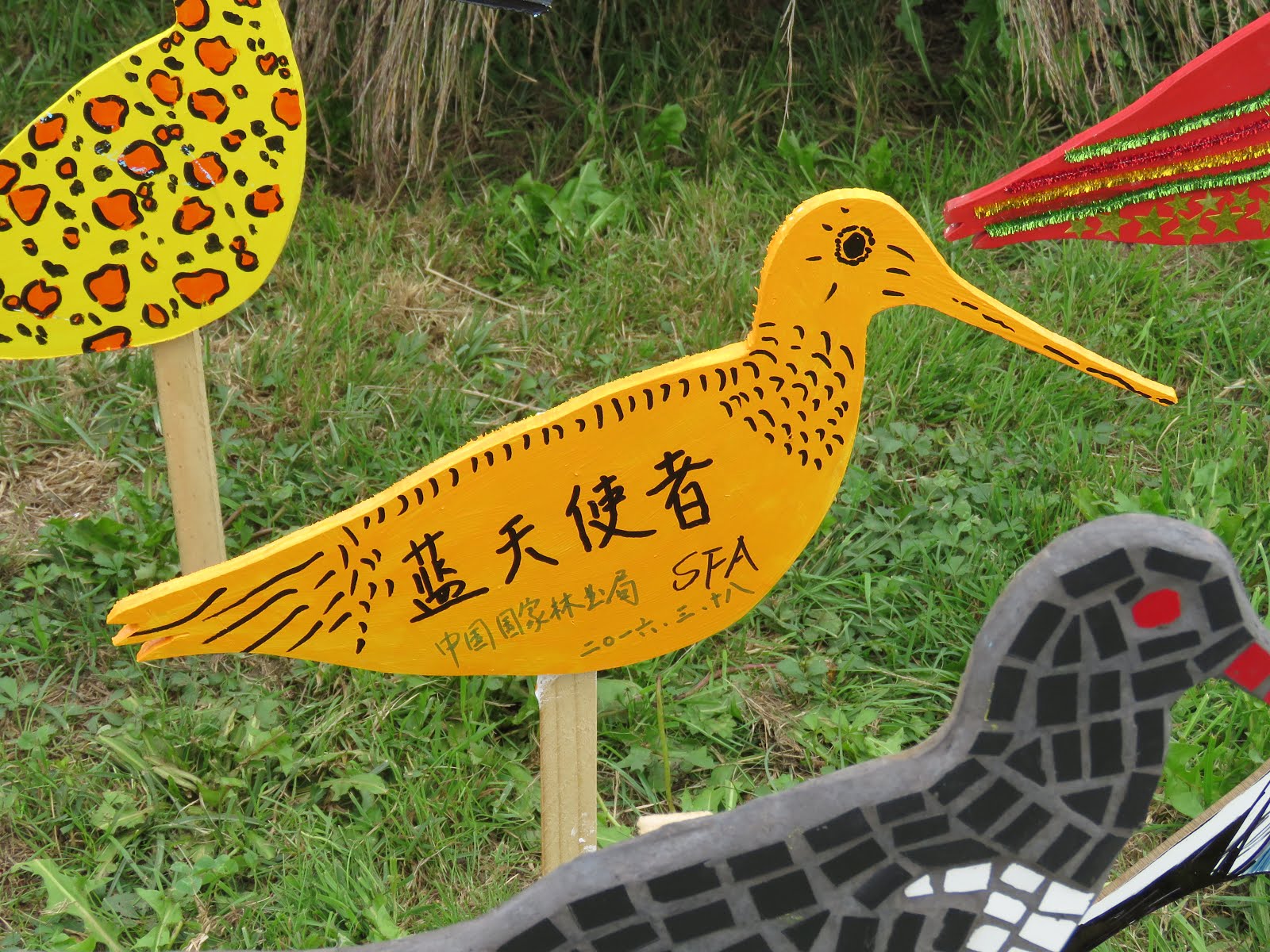 Pukorokoro Miranda Shorebird Centre