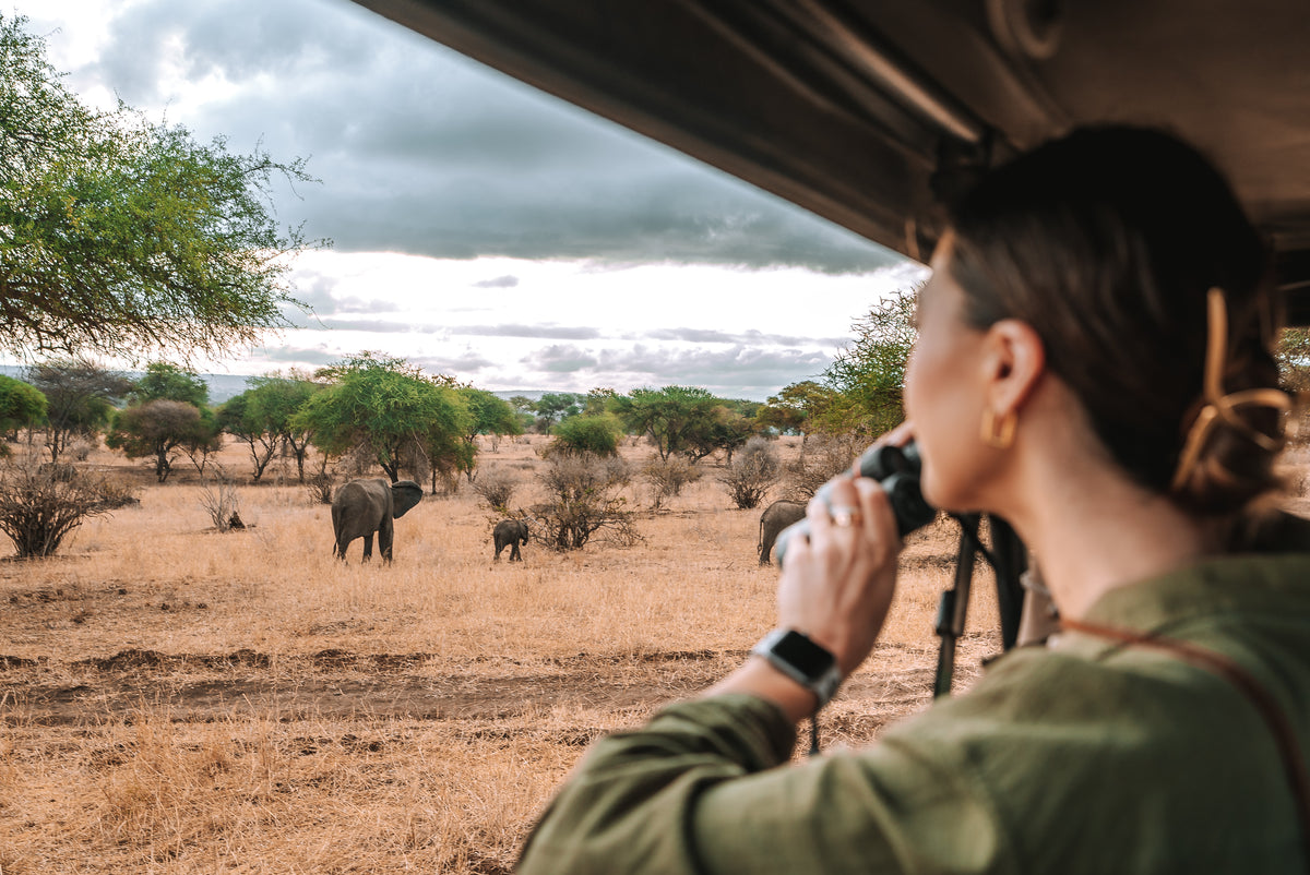 Game Drives