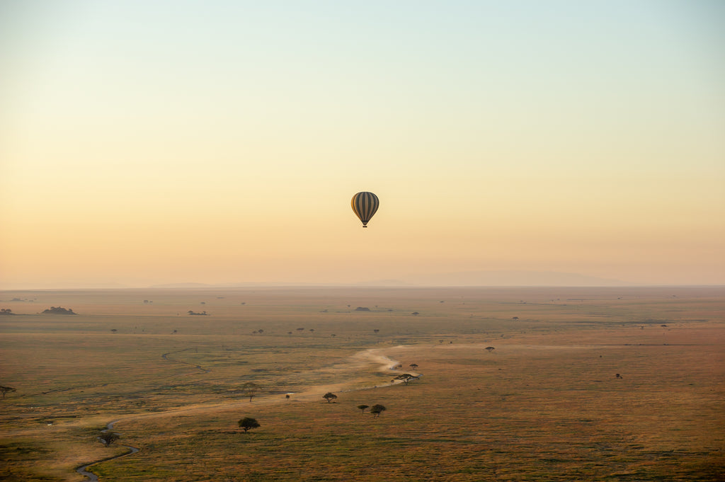 Balloon Safaris