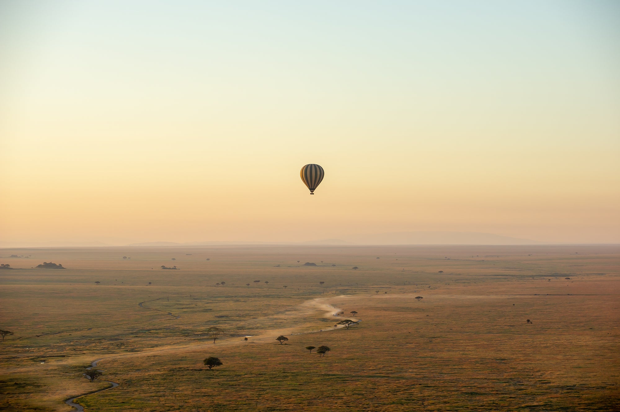 Balloon Safaris