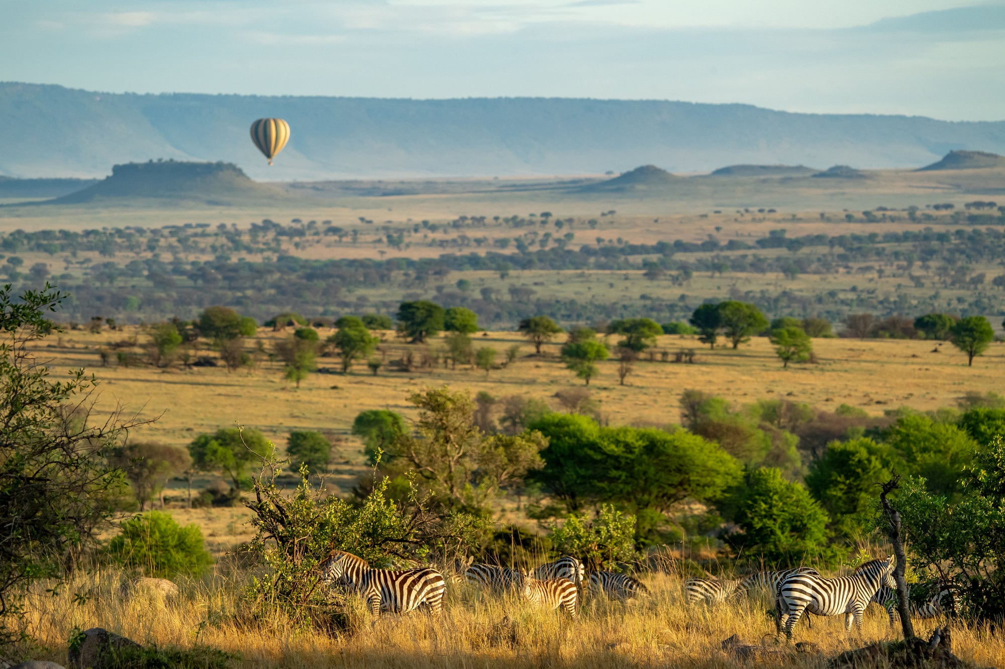 Balloon Safaris