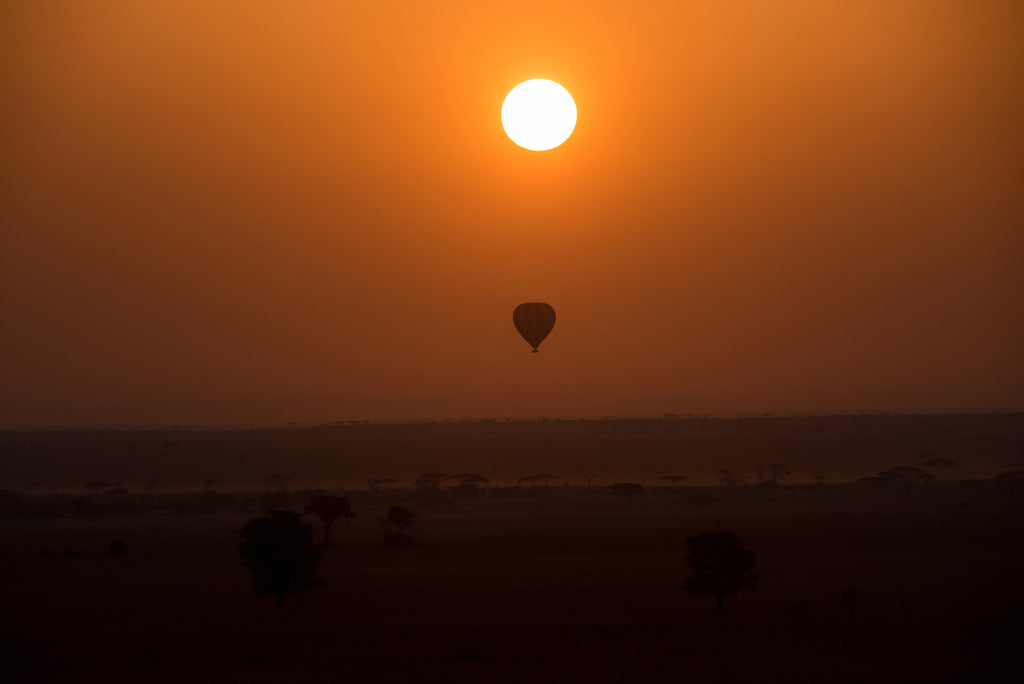 Balloon Safaris