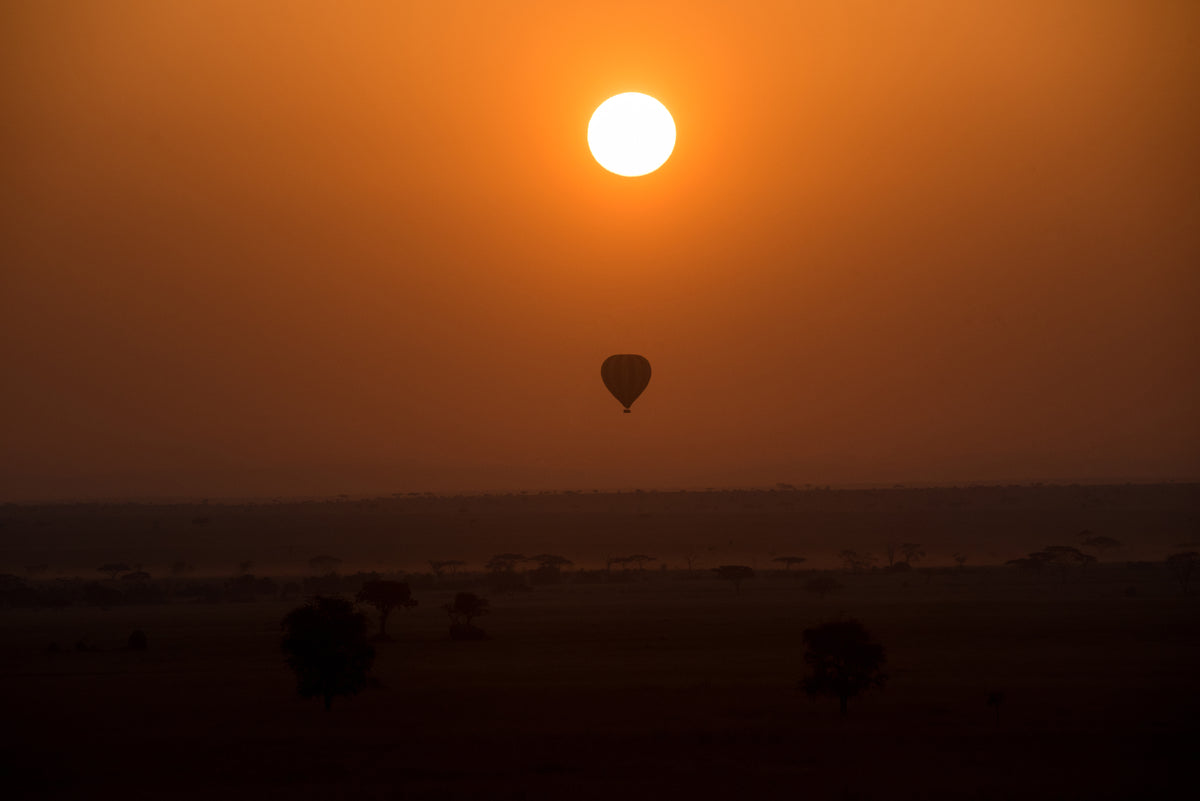 Balloon Safaris