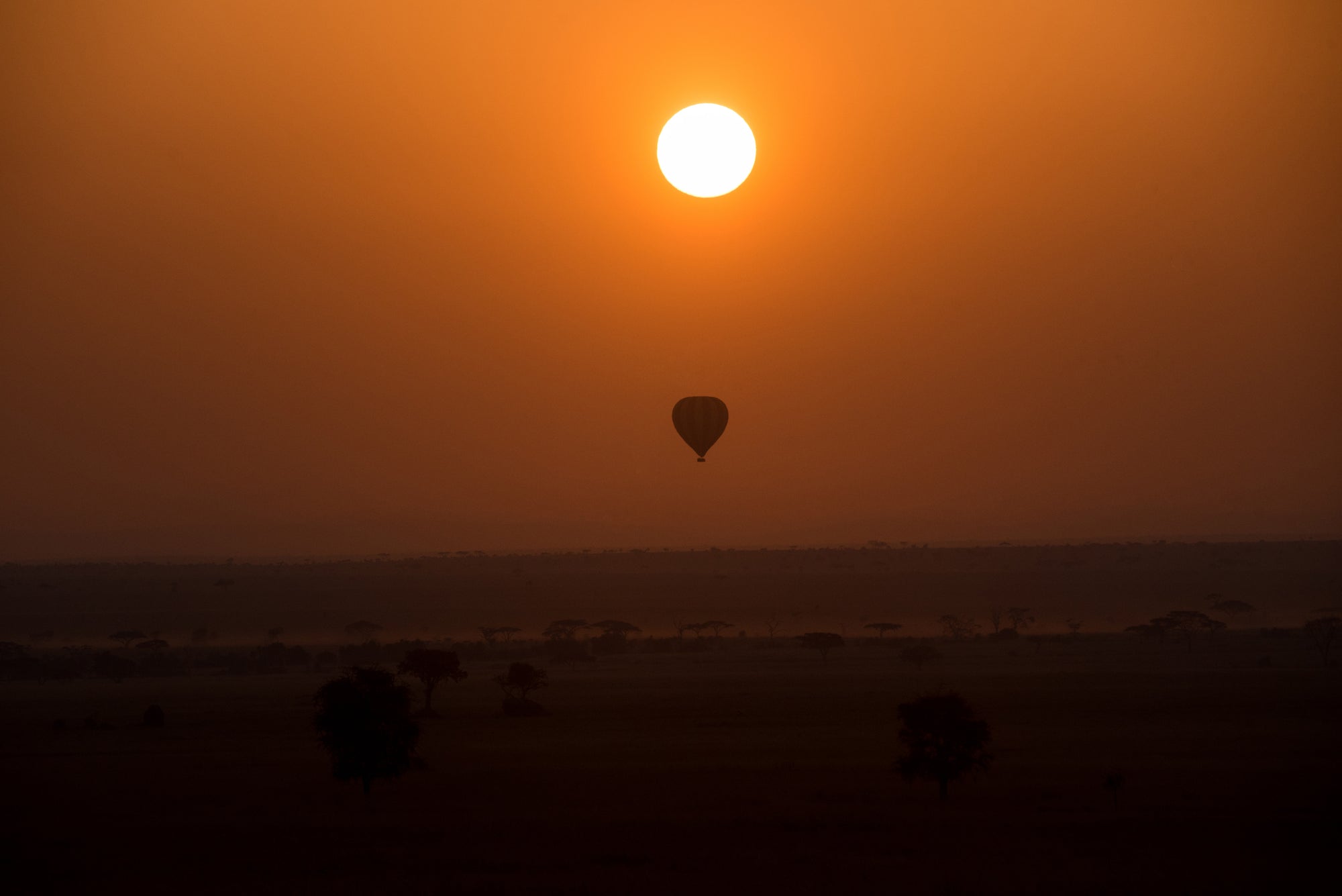 Balloon Safaris