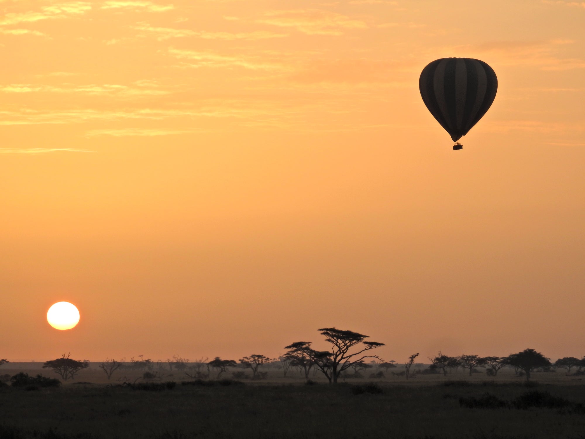 Balloon Safaris