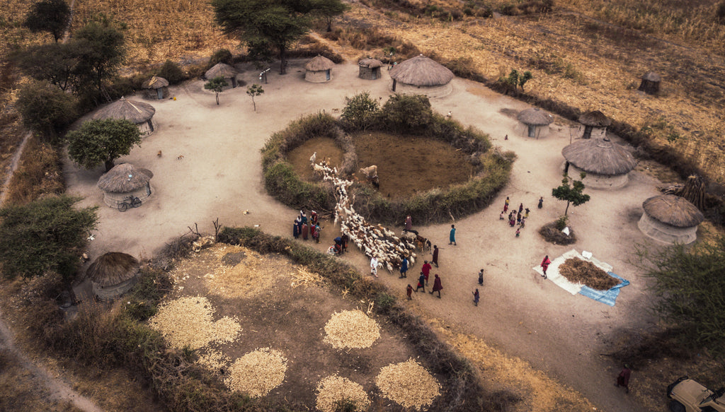 Authentic, Traditional Maasai Boma
