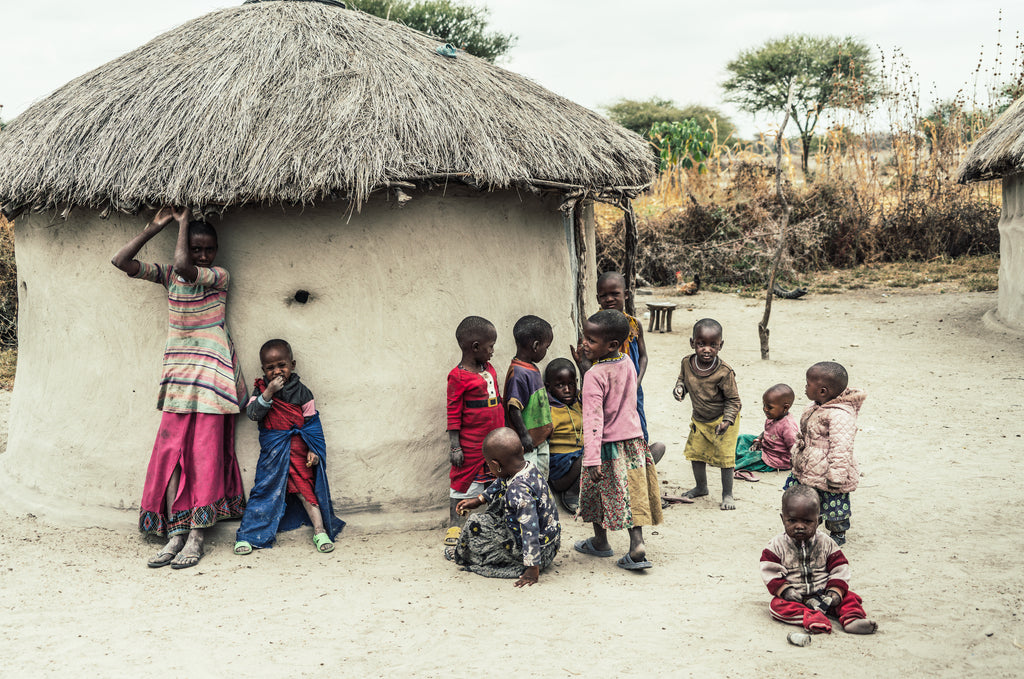 Authentic, Traditional Maasai Boma