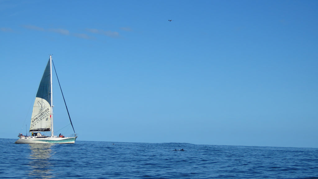 Perfect days on the big blue