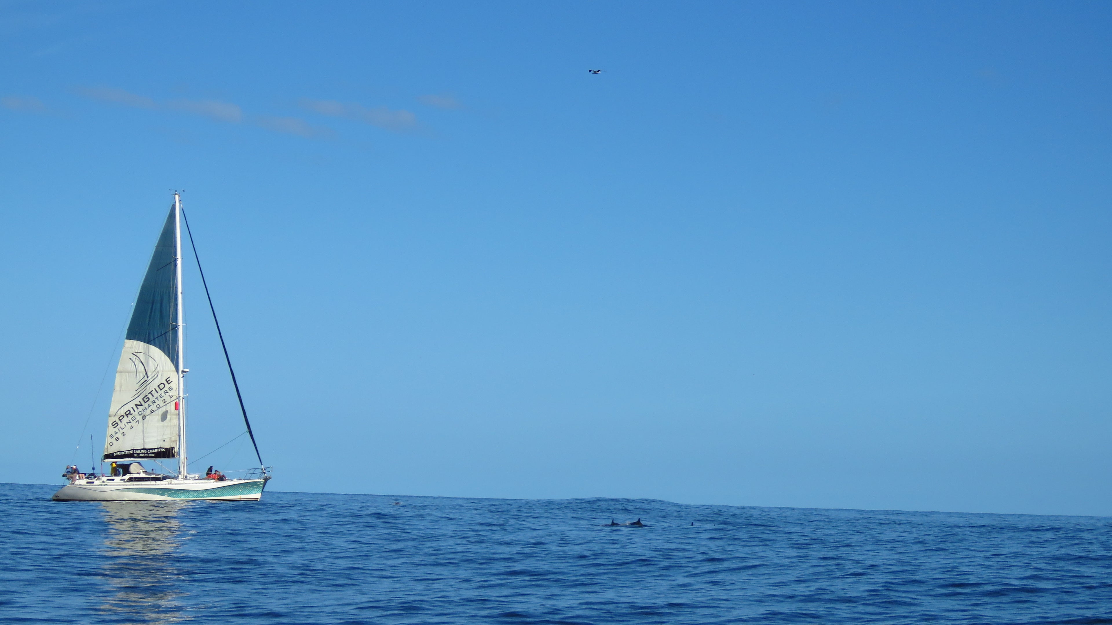 Perfect days on the big blue