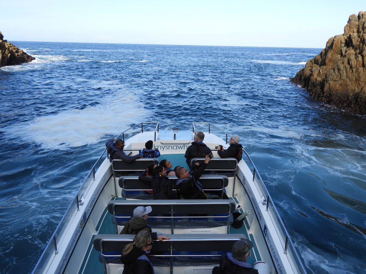 Ocean Odyssey Marine Eco-tour