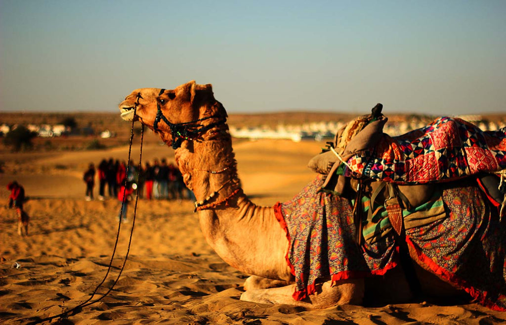 Shiv Tara Desert Camp