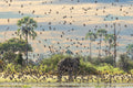 Wilderness Qorokwe