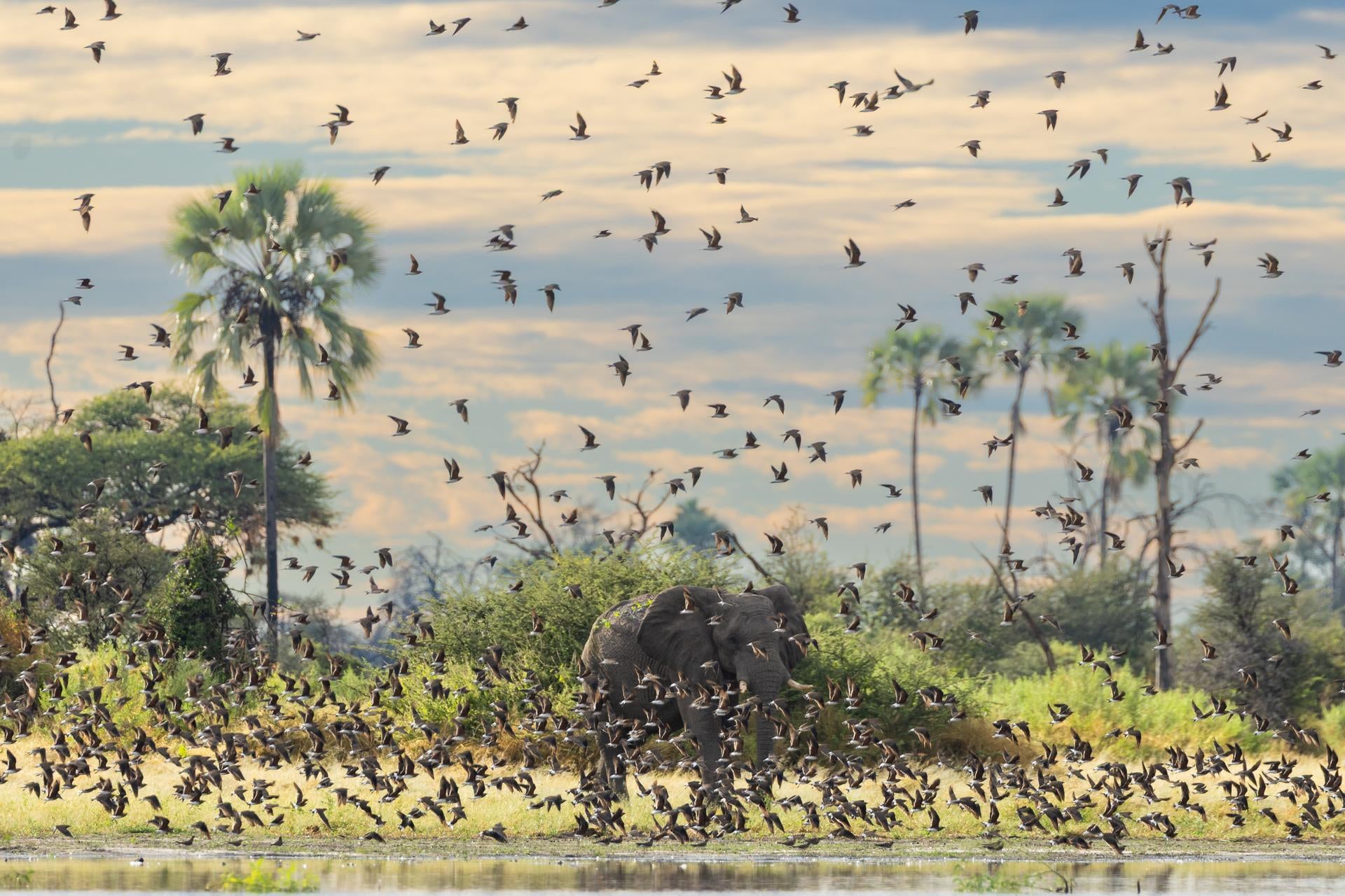 Wilderness Qorokwe