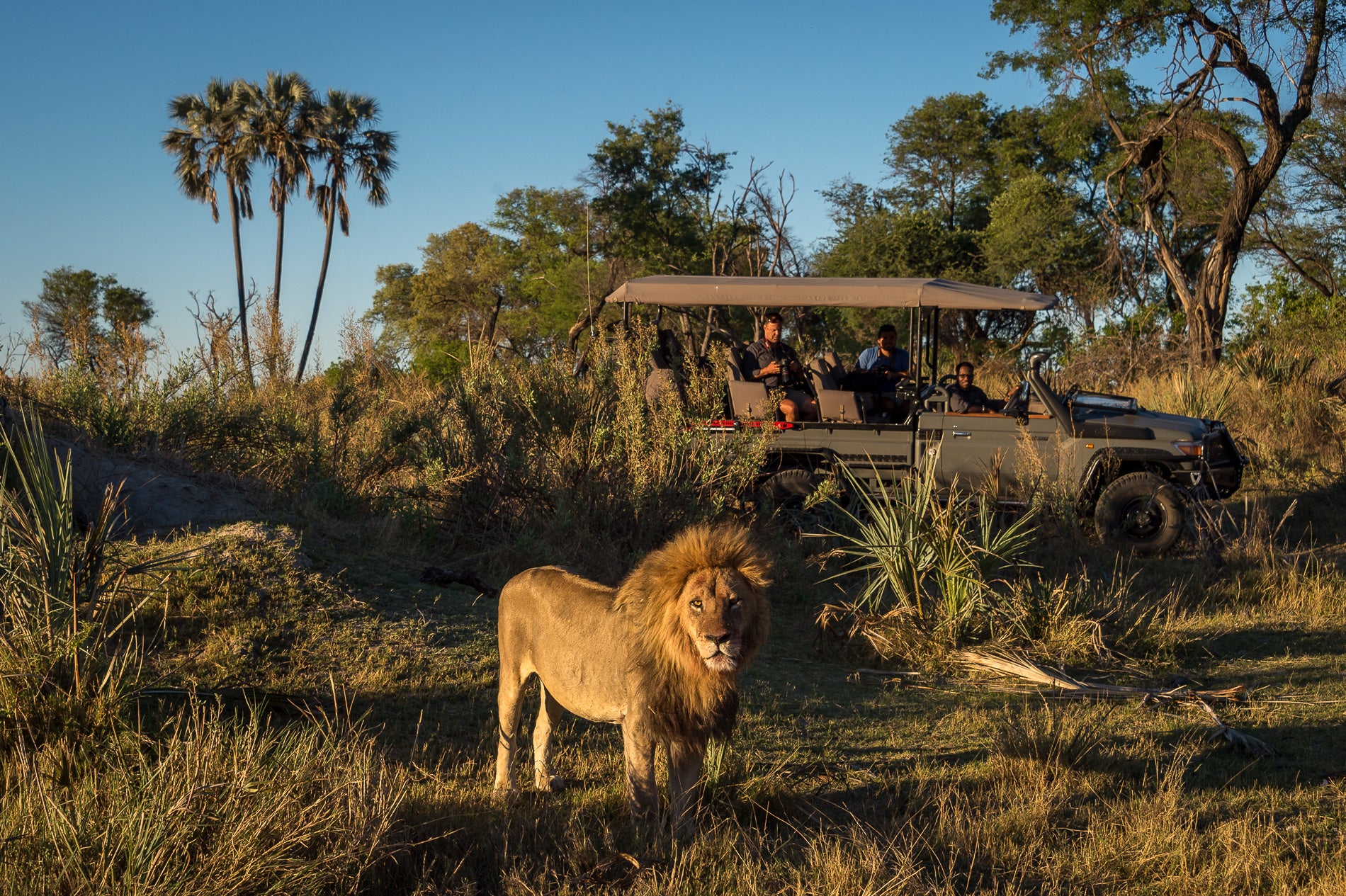 Wilderness Qorokwe