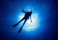 Diving