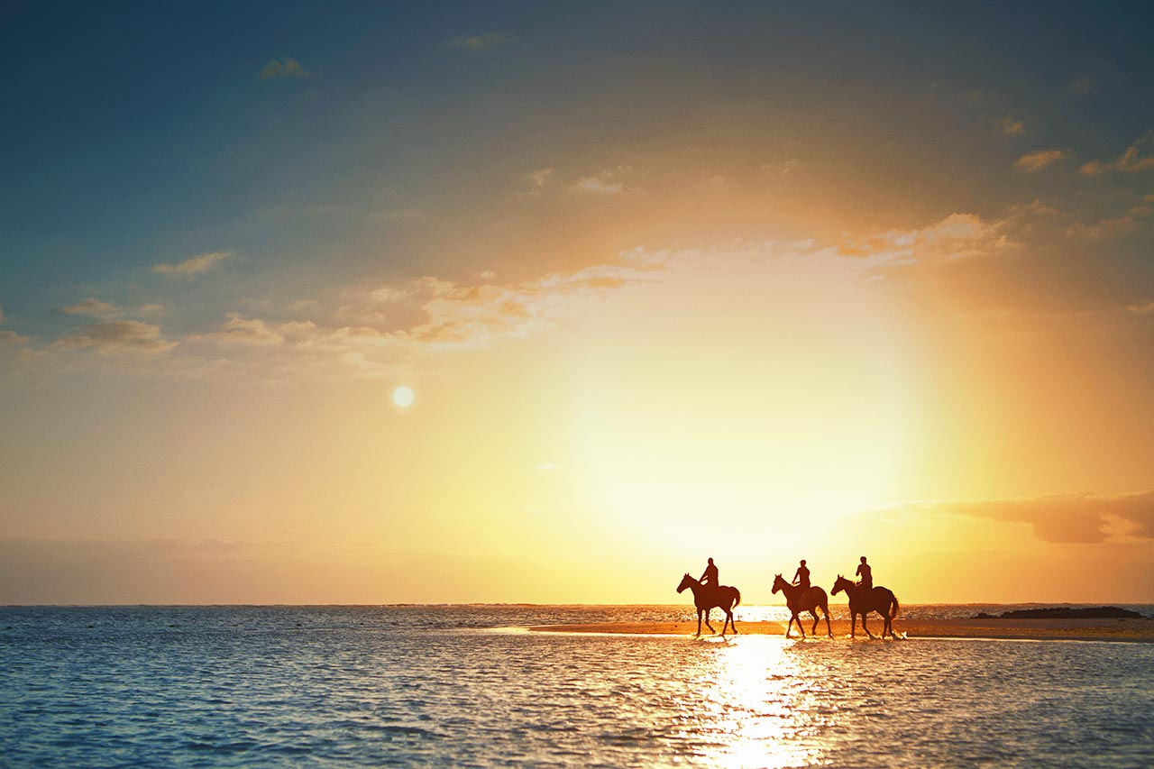 Beach Horse Riding 