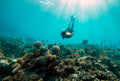 Snorkelling 