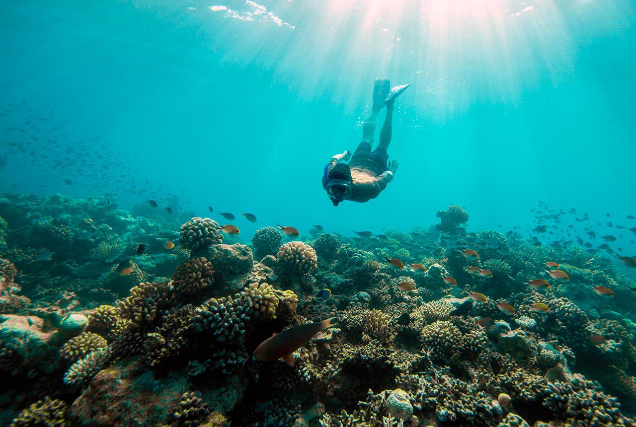 Snorkelling 