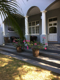 Front House