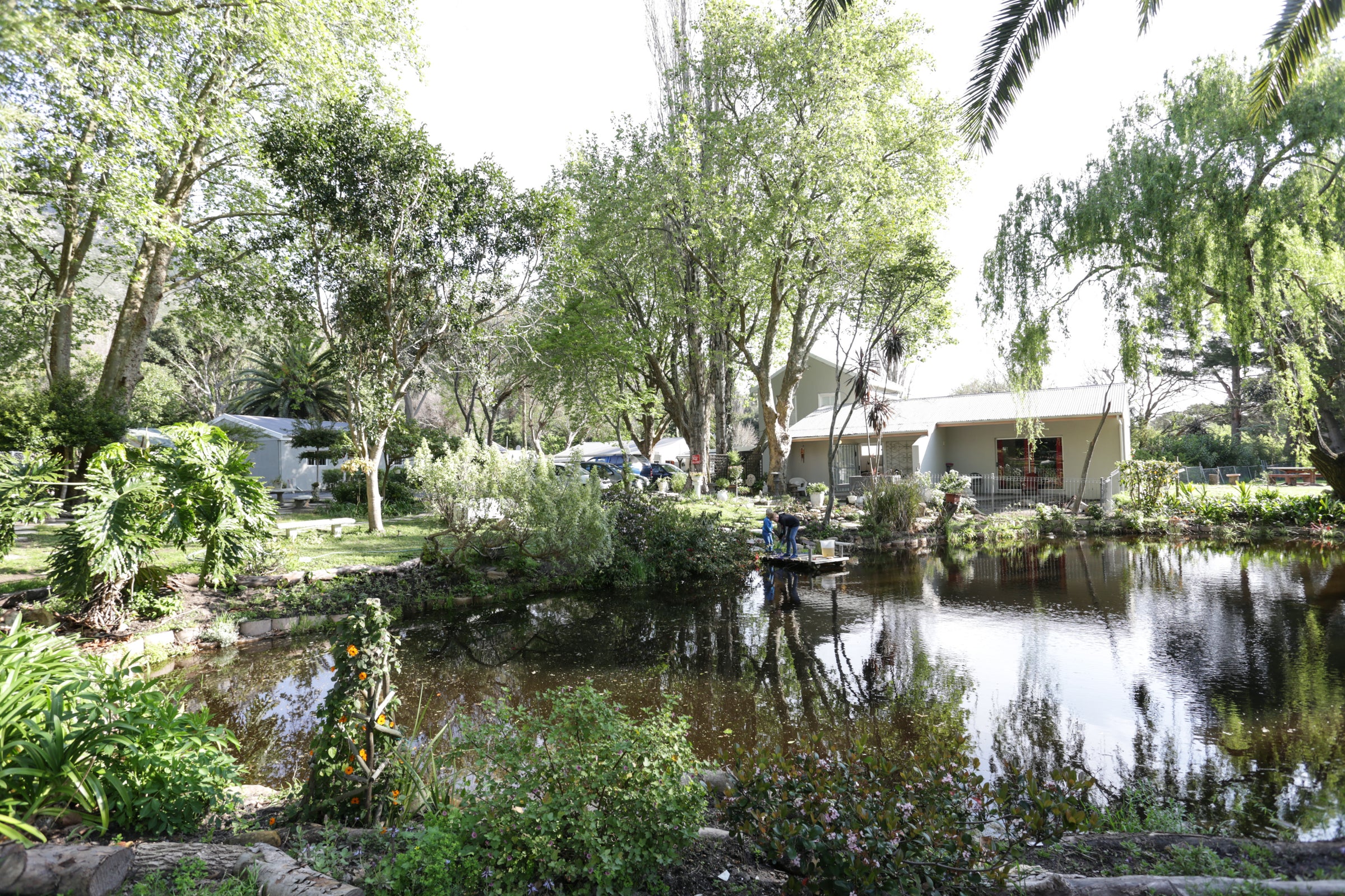 Waterland