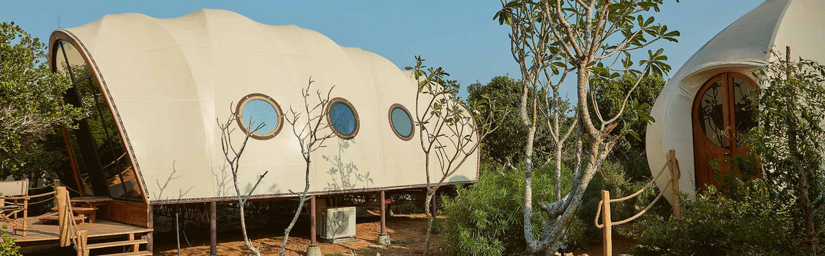 Family Cocoon Suite with Urchin