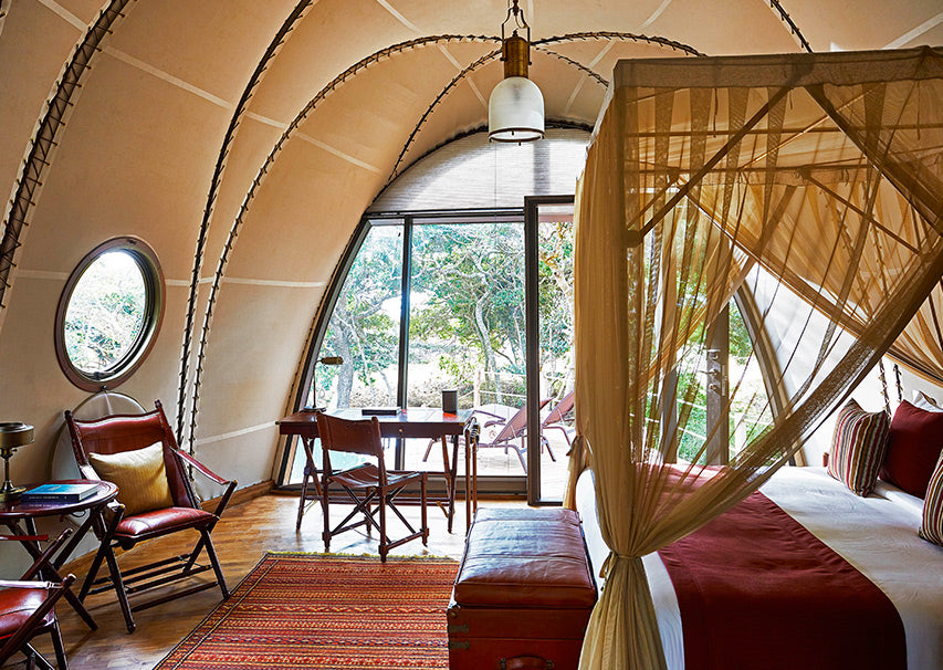 Cocoon Suite