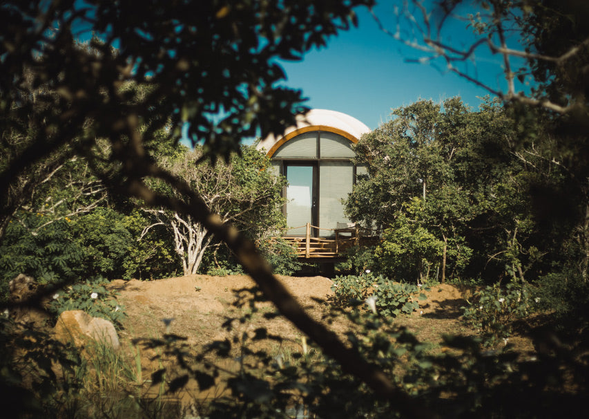 Cocoon Suite