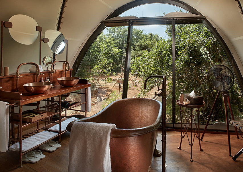 Cocoon Suite