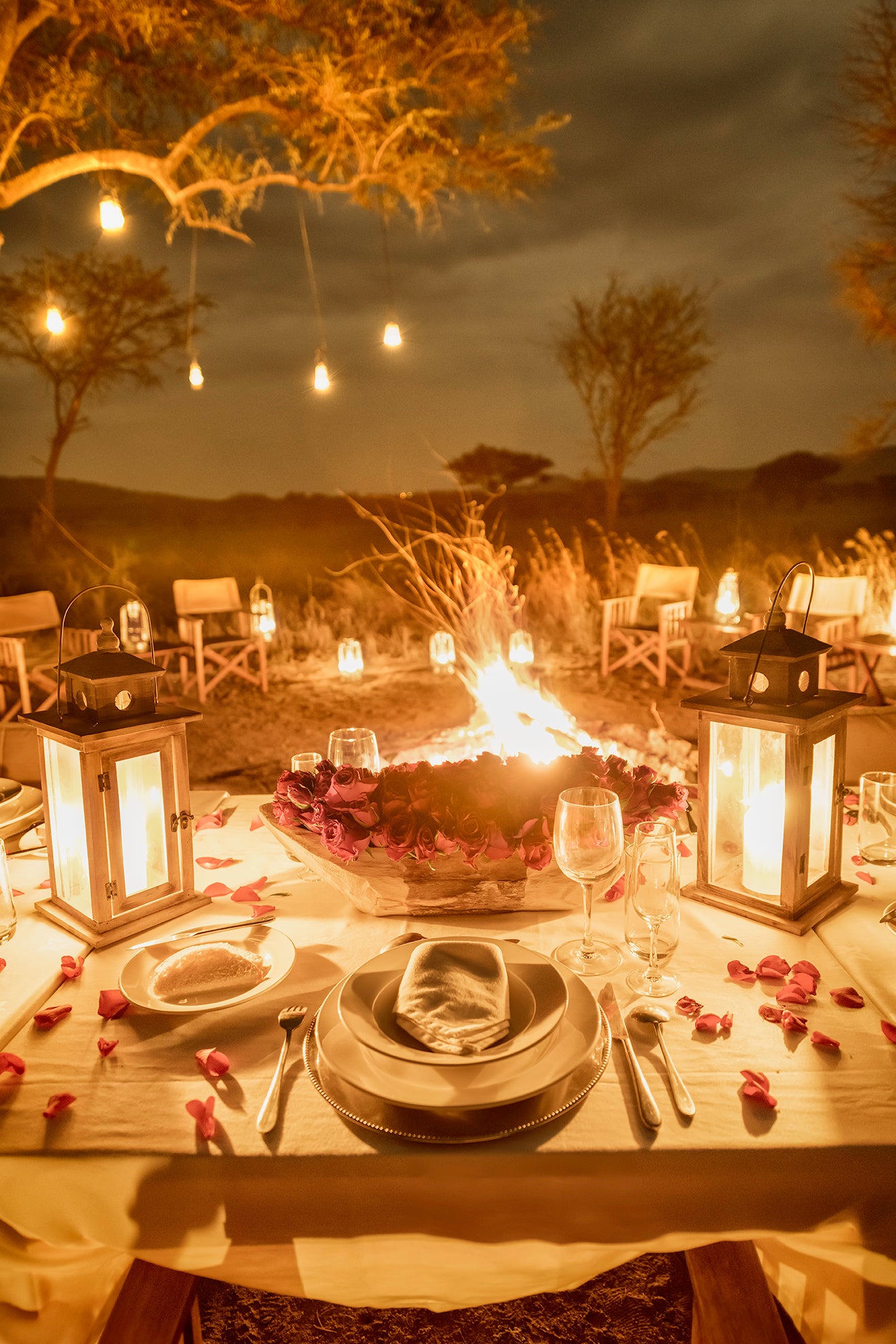 Romantic Bush Dinner