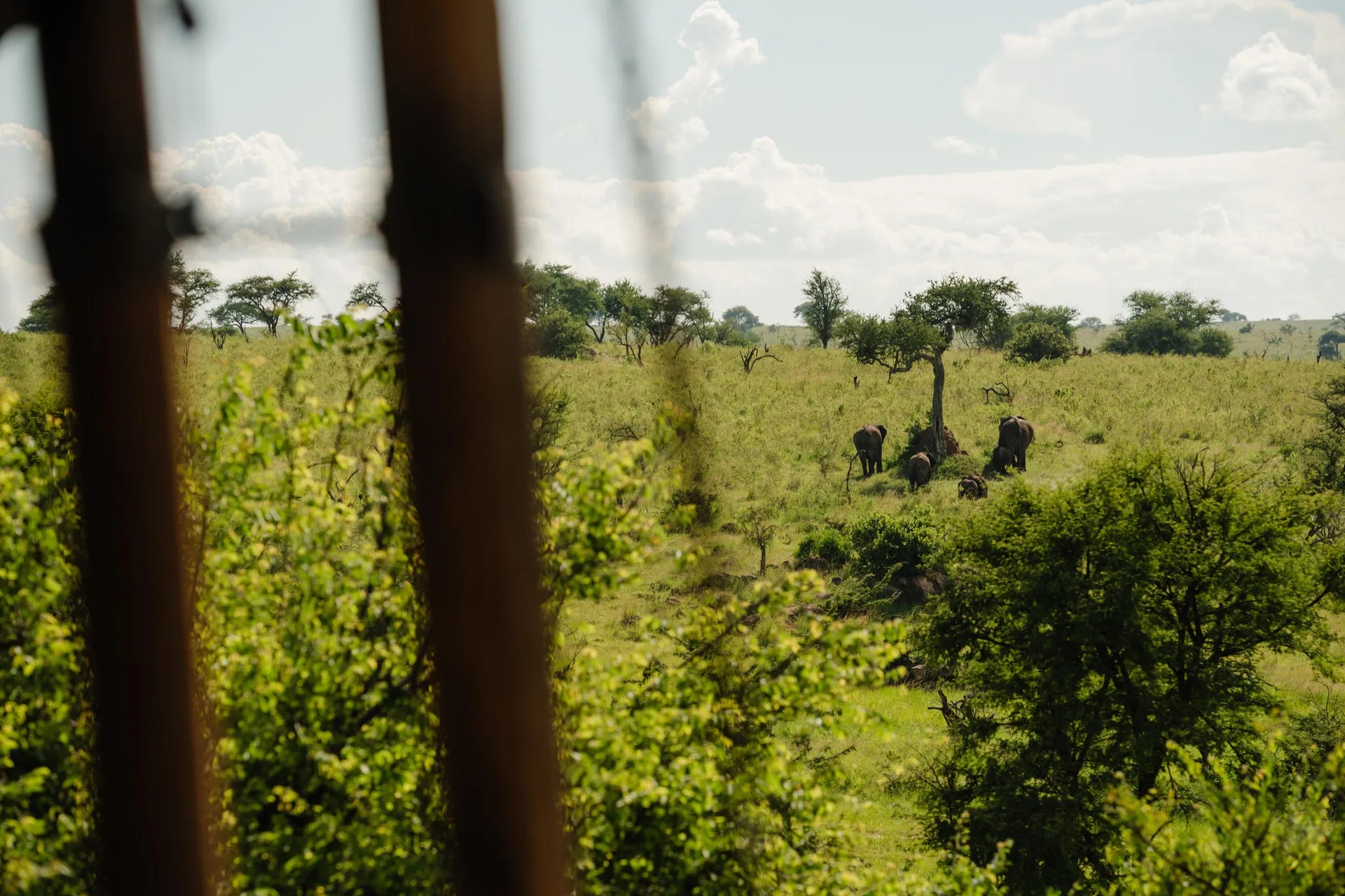Elewana Serengeti Migration Camp at Elewana Serengeti Migration Camp, Northern Serengeti, Tanzania.