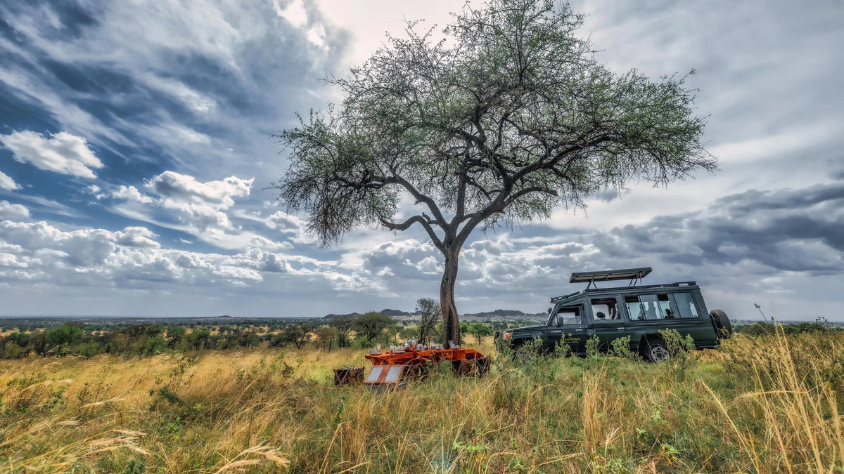 Serengeti Migration Camp at Elewana Serengeti Migration Camp, Northern Serengeti, Tanzania.