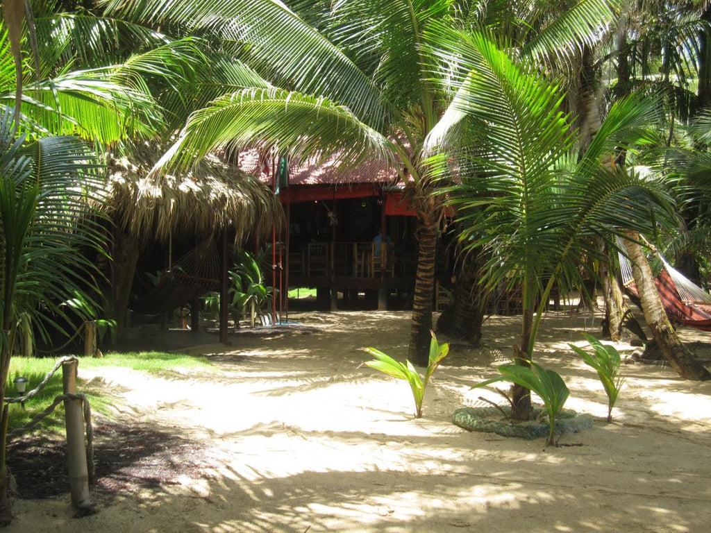Little Corn Beach and Bungalow
