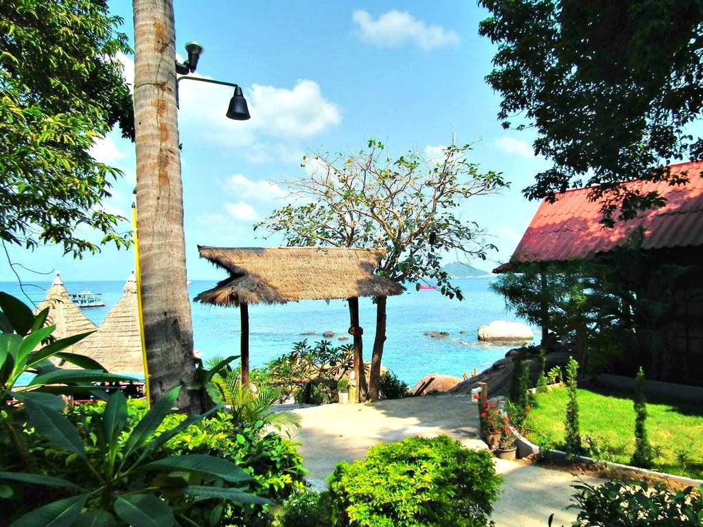 DD Hut Koh Tao