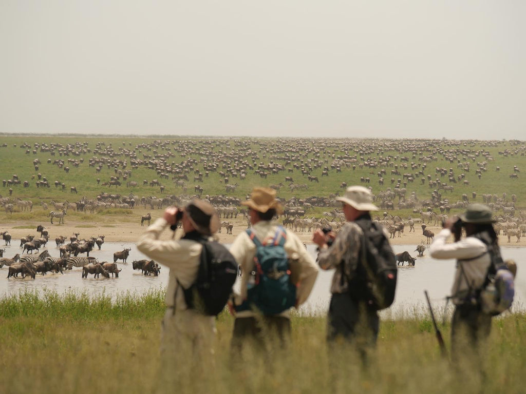 Wayo Trekking Camp
