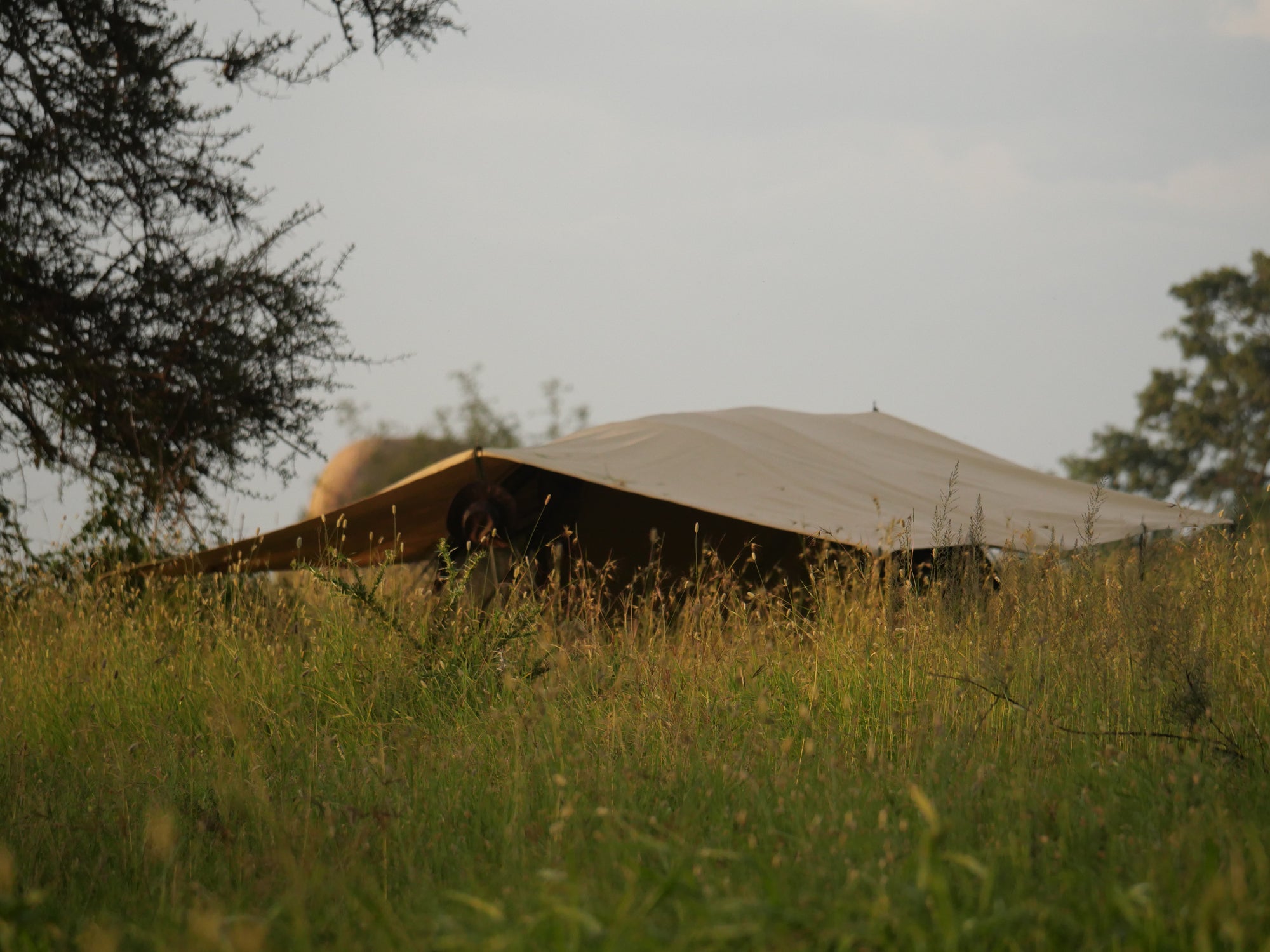 Wayo Trekking Camp