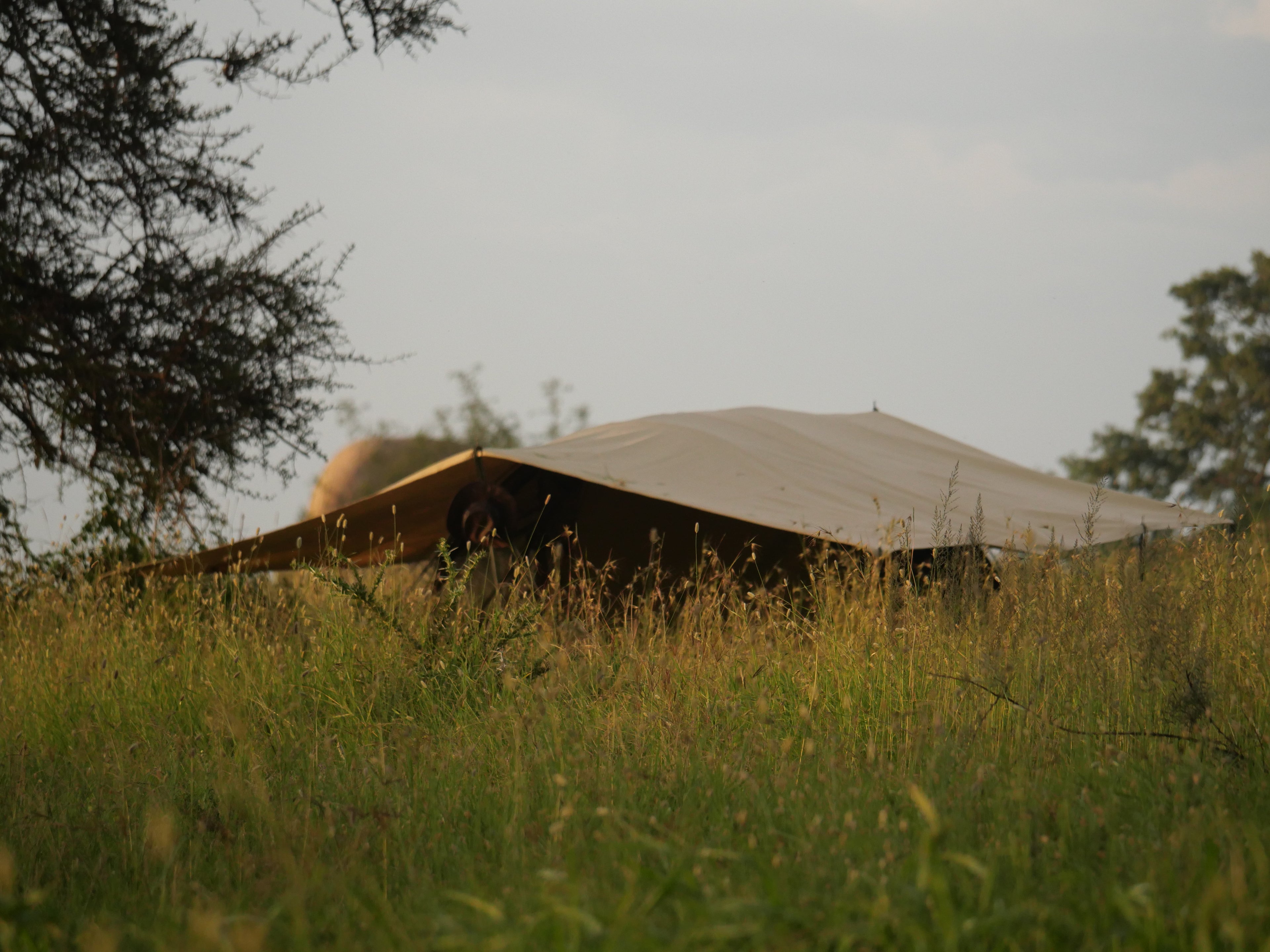 Wayo Trekking Camp