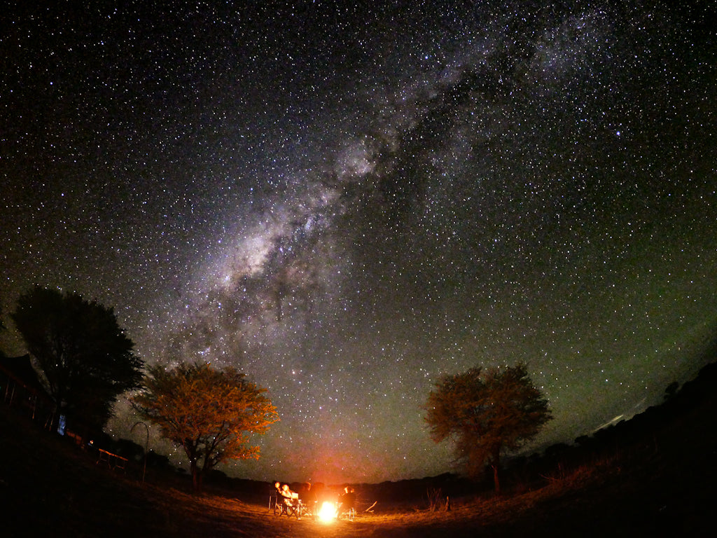 Wayo Trekking Camp