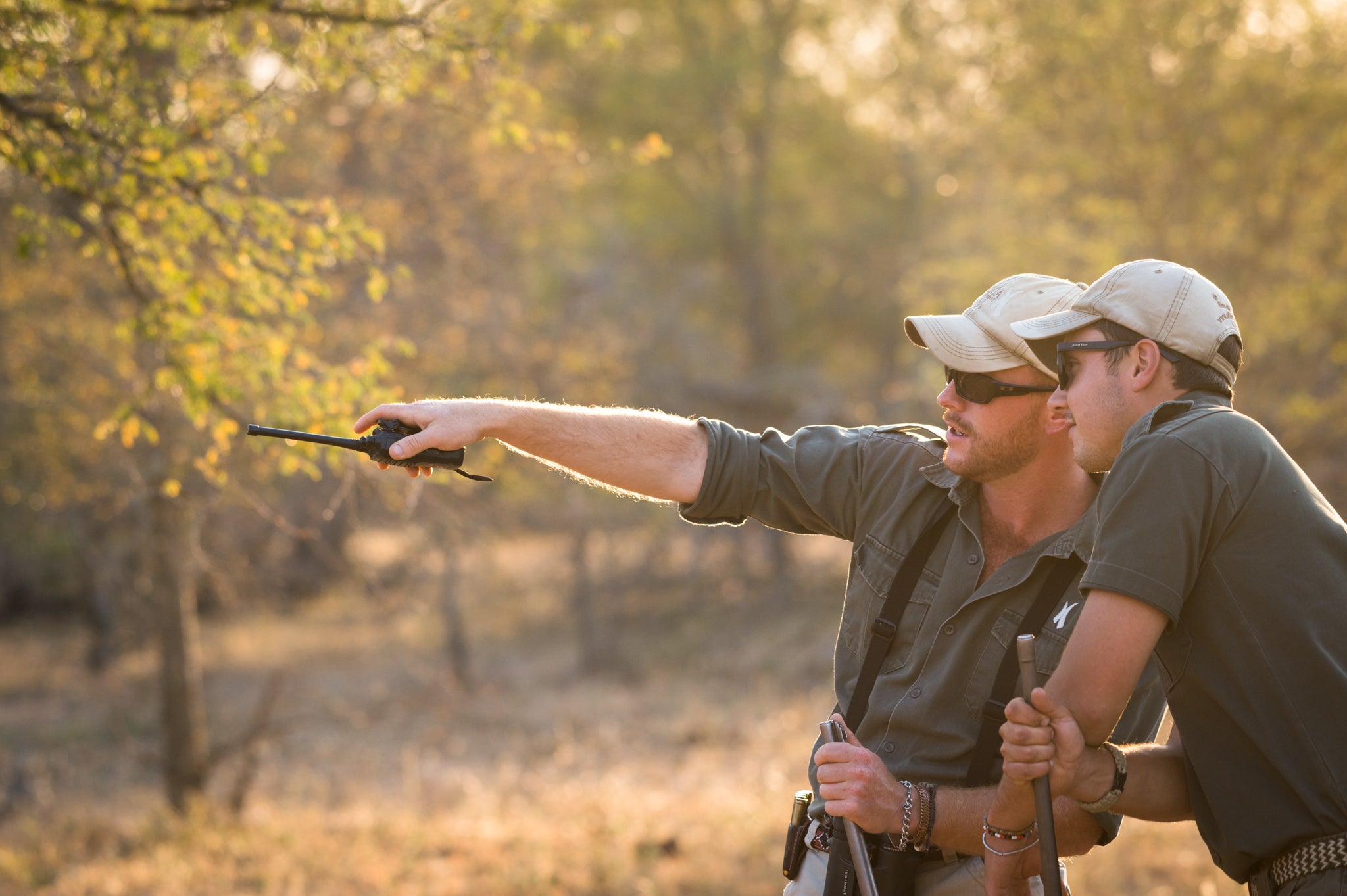 Qualified Field Guides