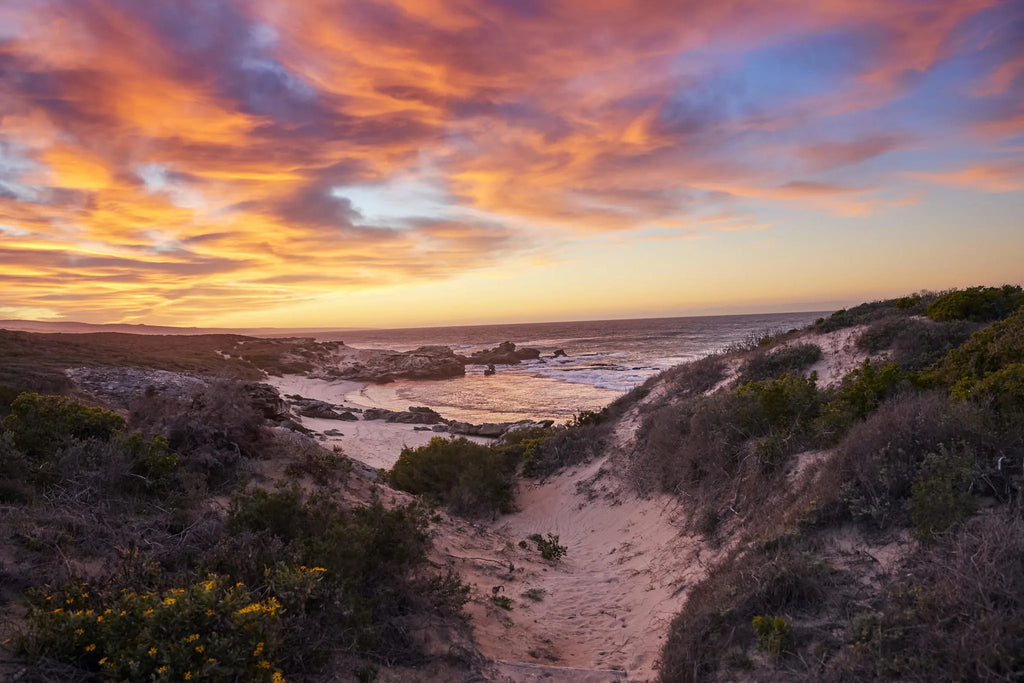 Morukuru Beach Lodge - beach at sunrise at Morukuru Beach Lodge, De Hoop Nature Reserve, South Africa.